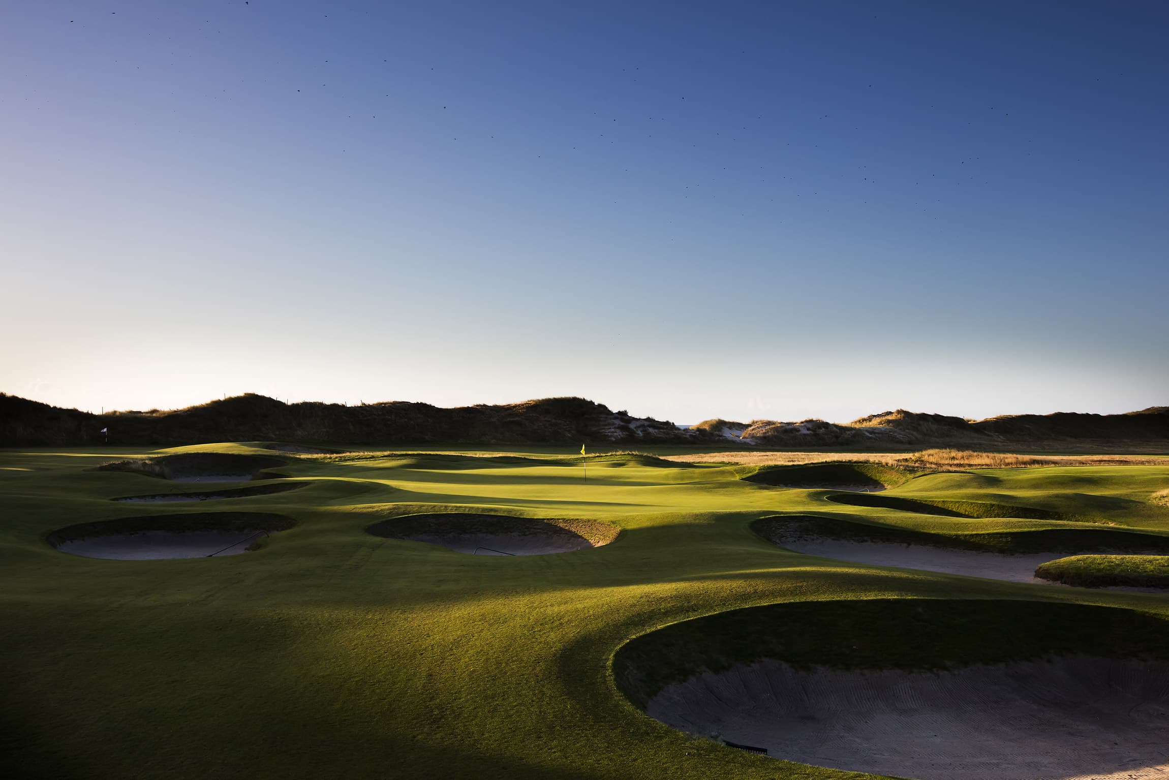 Falsterbo Golfklubb – klassisk linksbana i Skåne